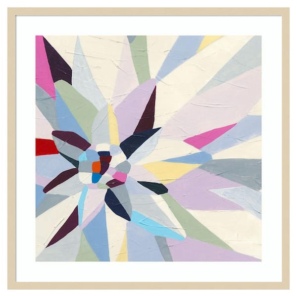 Amanti Art Geometric Dahlia I by June Erica Vess 1 Piece Framed Giclee Abstract Art Print 33 in. x 33 in.