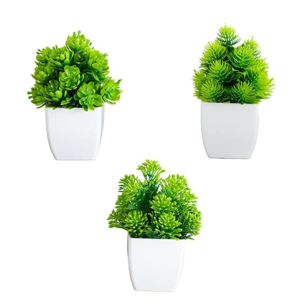 6 in. Artificial Mixed Succulent in White Square Pot - Set of 3