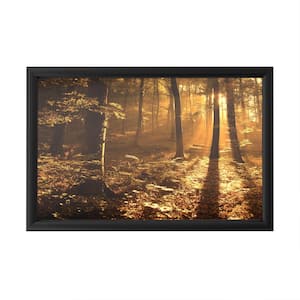 "Morning Light" by Philippe Sainte-Laudy Framed with LED Light Landscape Wall Art 16 in. x 24 in.