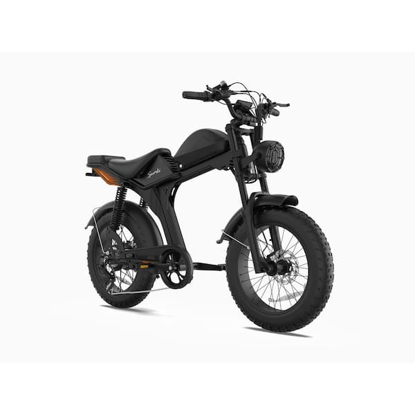 20 in. Fat Tire Black Electric Bike Dual Hydraulic Brake Electric Motorcycle Bikes for Men