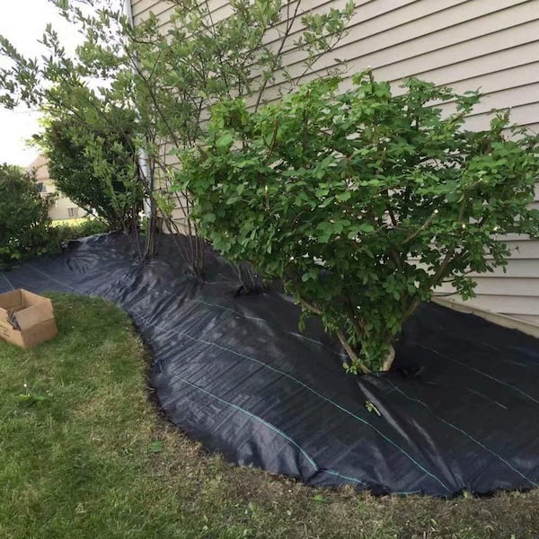 Garden Weed Barrier Landscape Fabric Heavy Duty, Woven Ground Cover Weed  Barrier, Black Mulch for Landscaping Fabric, Weed Control Fabric Mat for