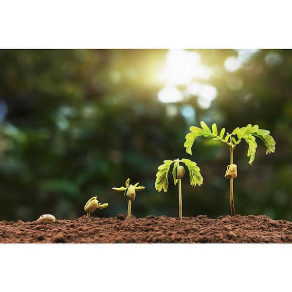 Readi Soil Soil 54-cu ft Organic Readi Soil Soil 54-cu ft Organic