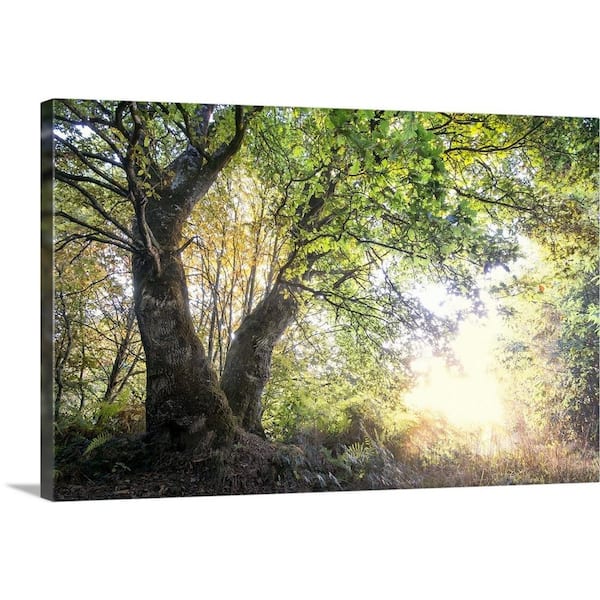 GreatBigCanvas "Gates of Paradise" by Philippe Manguin Canvas Wall Art