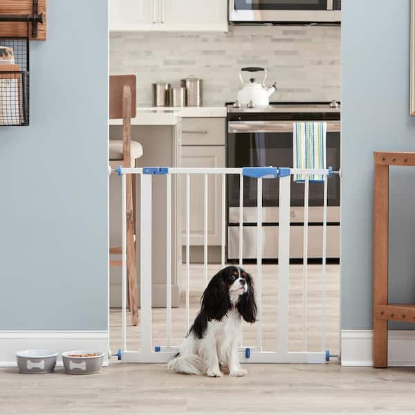 Indoor Pet Gate with Automatic Locking door