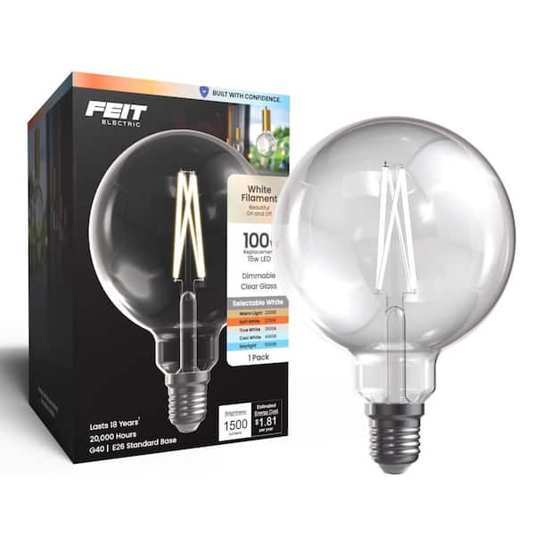 100-Watt Equivalent G40 Globe Dimmable Straight Filament Clear Glass E26 Vintage Edison LED Light Bulb, Selectable White