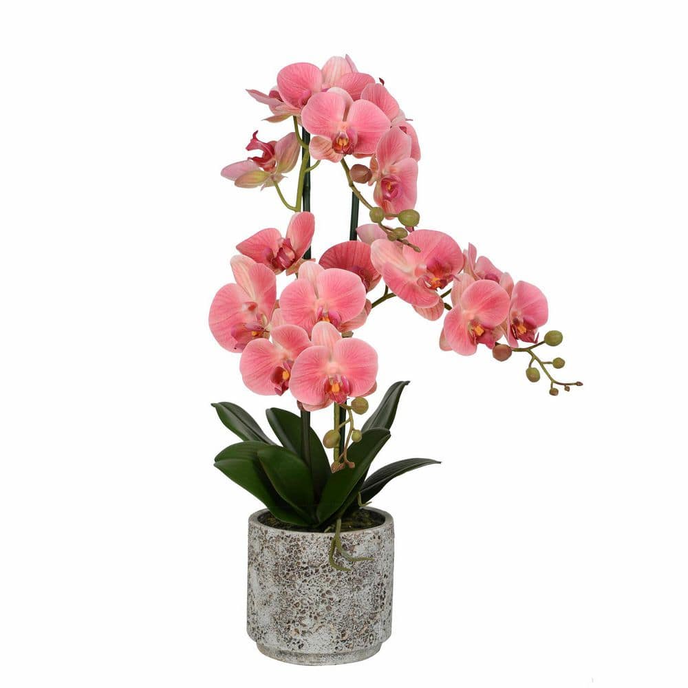 Vickerman 24 In. Pink Artificial Phalaenopsis Orchid Floral Arrangement 