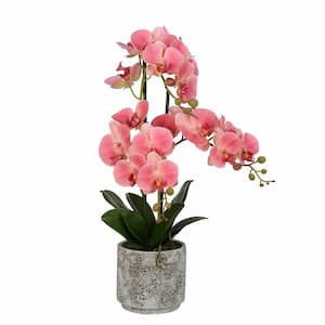 24 in. Pink Artificial Phalaenopsis Orchid Floral Arrangement In Cement Pot