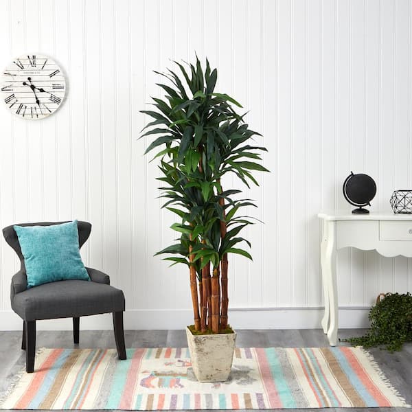 Nearly Natural 69 in. Artificial Dracaena Tree in Country White Planter