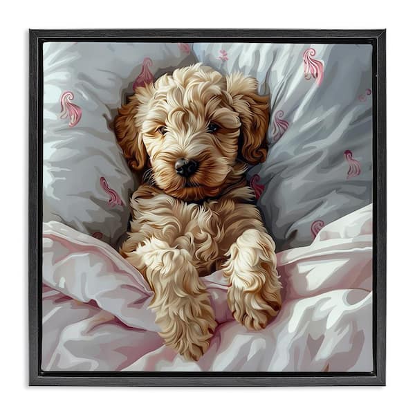Stupell Industries Nap Time Cuddling Labradoodle by Jim Baldwin Black Floater Frame Animal Graphic Art Print 25 in. x 25 in.