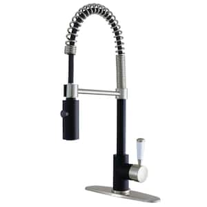 Paris Single-Handle Pull-Down Sprayer Kitchen Faucet in Matte Black/Brushed Nickel