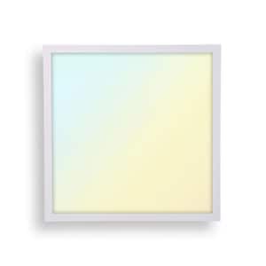 2 ft. x 2ft. Dimmable White CCT and Wattage Selectable Integrated LED Back-Lit Flat Panel Light