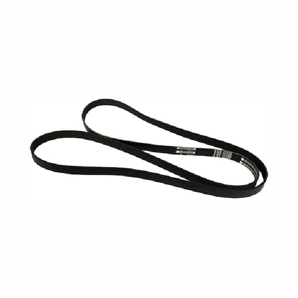 Motorcraft serpentine outlet belt