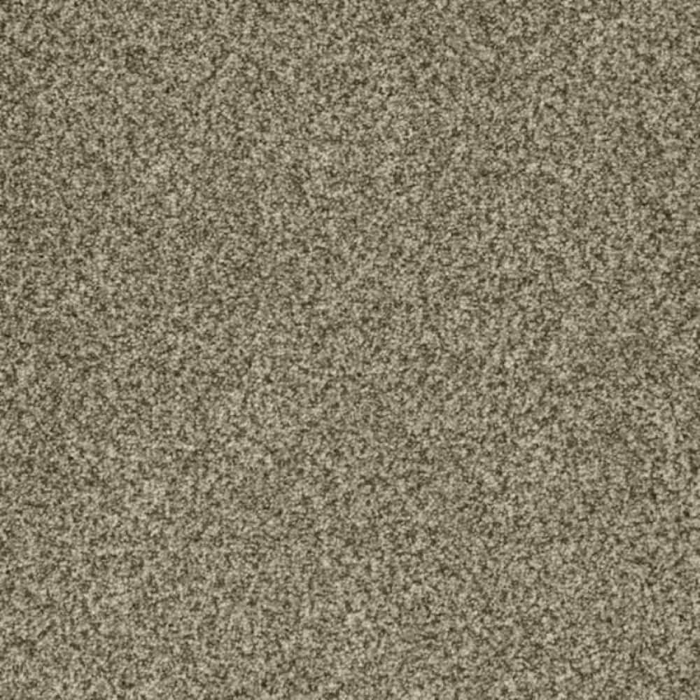 8 in. x 8 in. Texture Carpet Sample-Trestle II-Color Gateway price history on PriceWatchPro