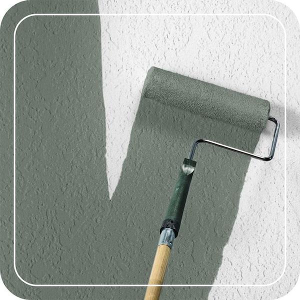 N420-5 Boreal Paint