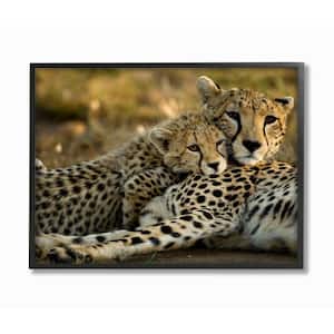 16 in. x 20 in. "Cheetah Family Mother with Cub" by Joe McDonald Framed Wall Art