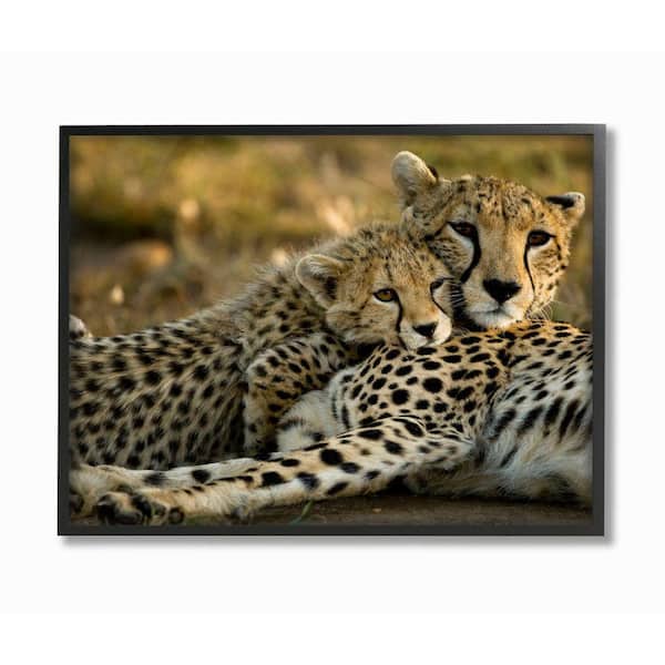 Stupell Industries 16 in. x 20 in. "Cheetah Family Mother with Cub" by Joe McDonald Framed Wall Art