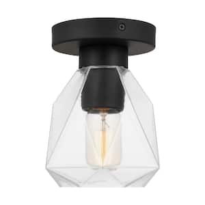 Quinn 6 in. 1-Light Midnight Black Transitional Indoor/Outdoor Dimmable Wall or Ceiling Flush Mount with Clear Glass