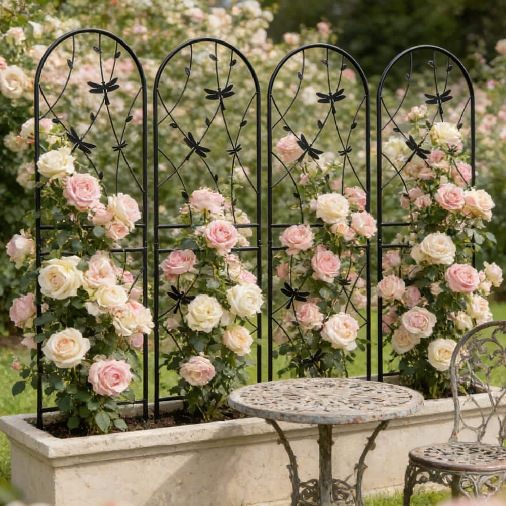 "4 Pack Black Metal Garden Trellis 71"" x 19.7"" Dragonfly Decor Rustproof Outdoor Support for Climbing Plants Vines" price history on PriceWatchPro