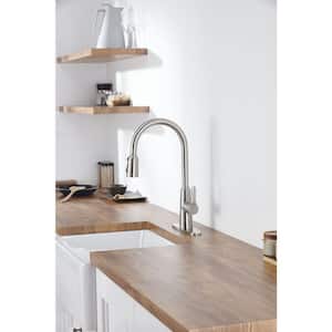 Single-Handle Pull Out Sprayer Kitchen Faucet in Brushed Nickel