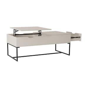 Hayden 48 in. White Rectangle Coffee Tables with Lift Top