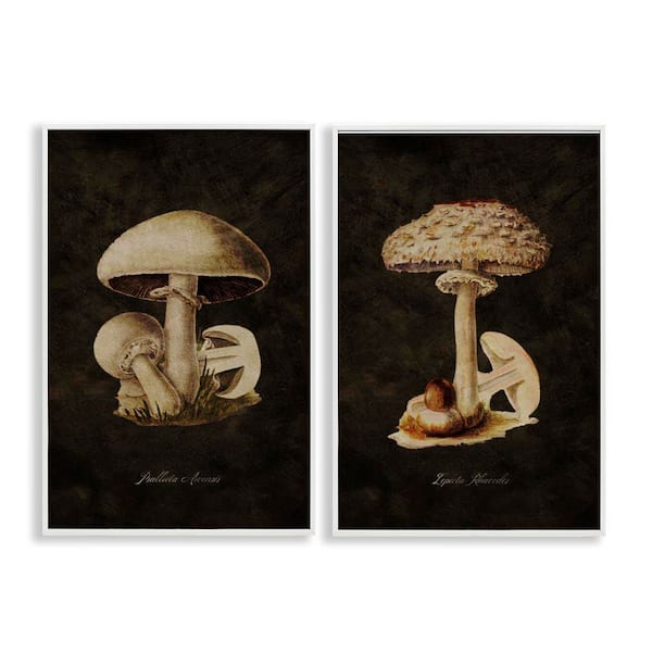 Stupell Industries Vintage Mushrooms on Black by Tina Higgins Designs, Inc. 2 Pieces White Framed Nature Giclee Art Print 18 in. x 12 in.