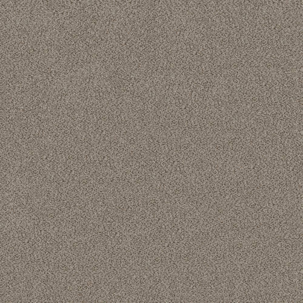 8 in x 8 in.  Texture Carpet Sample - Columbus I - Color Thin Ice price history on PriceWatchPro