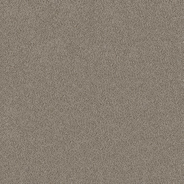 Home Decorators Collection 8 in x 8 in.  Texture Carpet Sample - Columbus I - Color Thin Ice