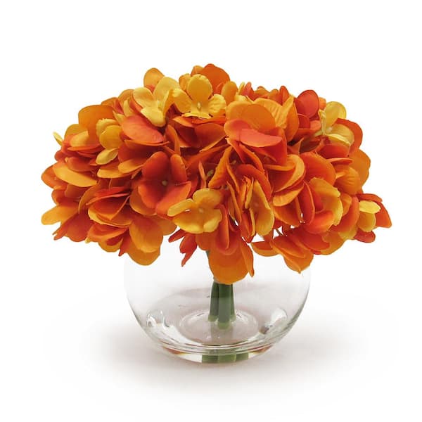 Image of Orange Hydrangeas in a vase