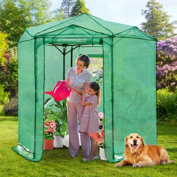 6.6 x 6.6 ft. All-Weather Hexagon Portable Walk-in Pop up Greenhouse, Green
