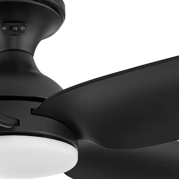 Hampton Bay Ceva 54 in. Indoor/Outdoor Matte Black with Hampton Bay Ceva 54 in. Indoor/Outdoor Matte Black with