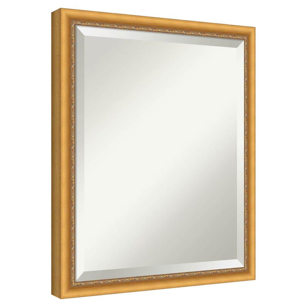 Belmont Rope Gold 18 in. x 22 in. Beveled Traditional Rectangle Wood Framed Wall Mirror price history on PriceWatchPro