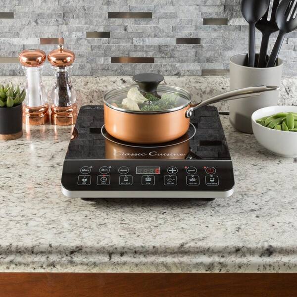 multifunction induction cooktop price