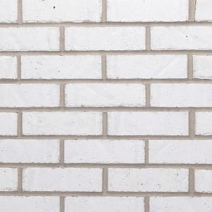 28 in. x 10.5 in. x .625 in. Brickwebb Cascade Thin Brick Sheets (Box of 4-Sheets)