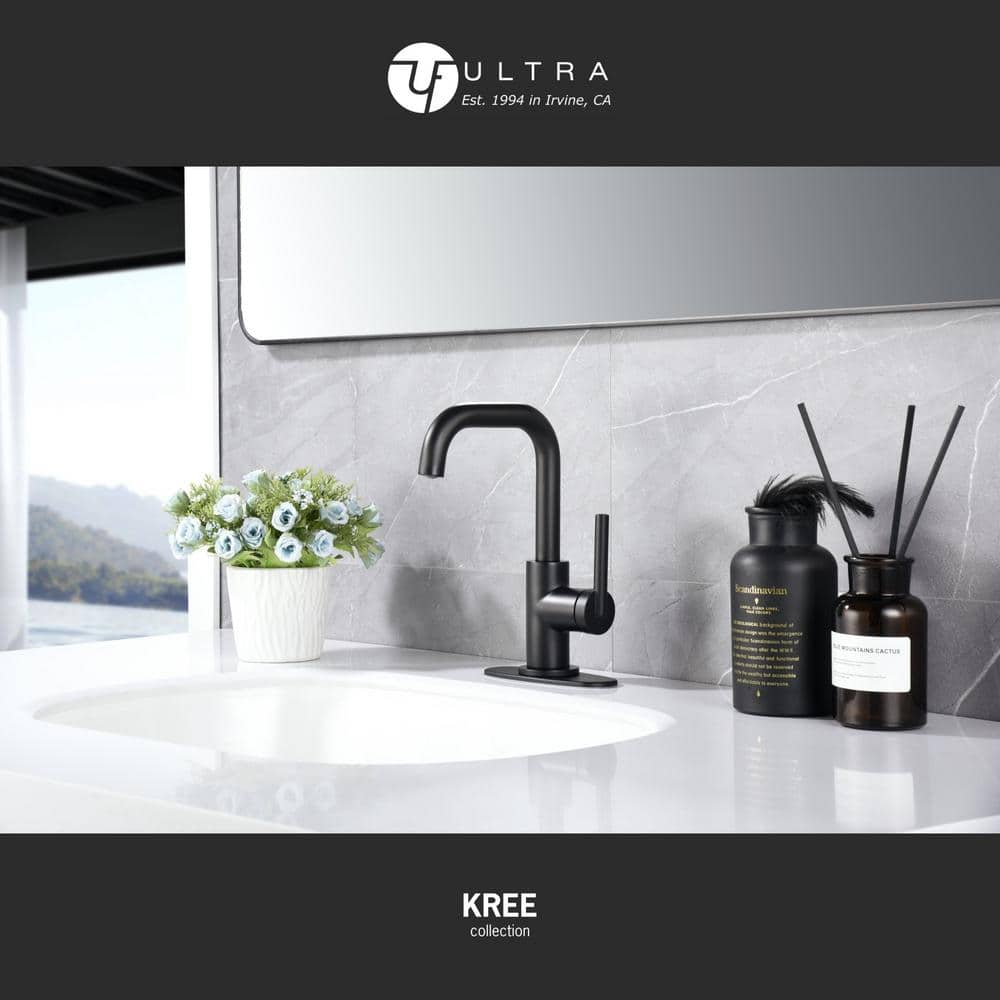 Matte Black Single-Handle Bathroom Faucet with Drain Assembly
