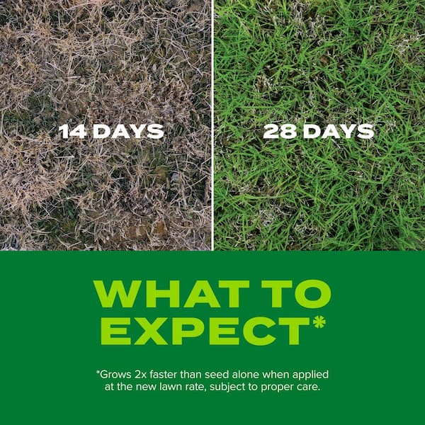 Scotts Turf Builder Rapid Grass Bermuda Grass Sun or Shade Grass Seed and Fertilizer 4 lb