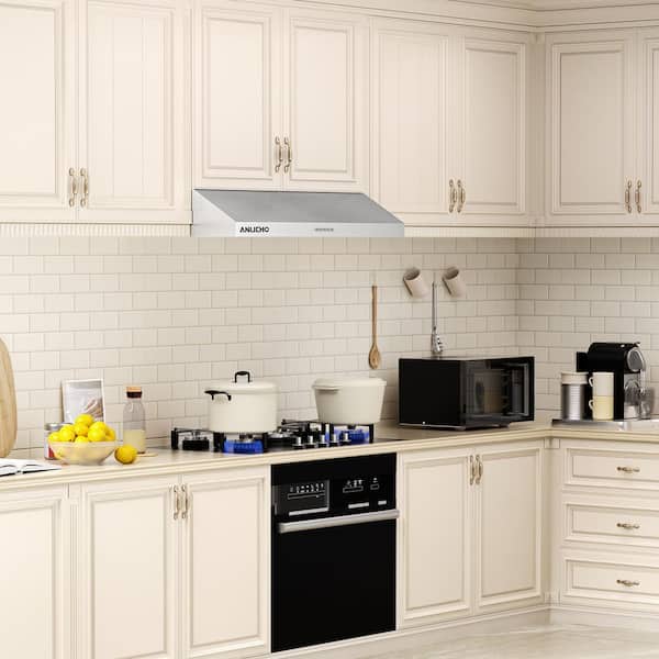 30 in. 300 CFM Ducted Under Cabinet Range Hood in Stainless Steel with 2-Way Venting and LED Lights