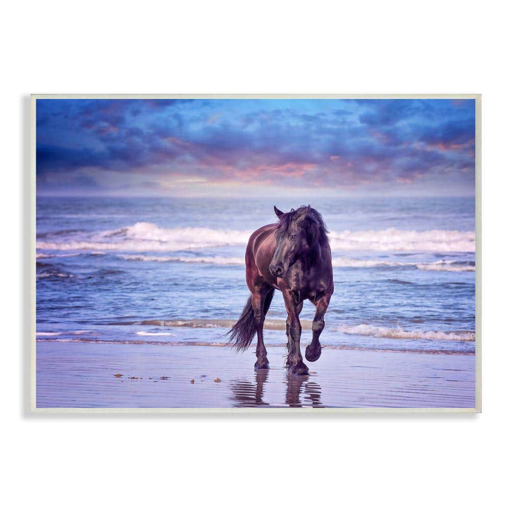 Wild Horse on Beach Blue Sunset MDF Wall Plaque