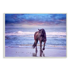 "Wild Horse on Beach Colorful Blue Sunset" by PHBurchett Unframed Print Animal Wall Art 13 in. x 19 in.