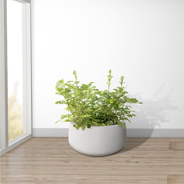 Longlasting Corner Planter Wall Mounted Plant Pots Semi-Circle Flower Pot  Garden Planter Flower Pots Plant Containers for Home Office Kitchen Wall