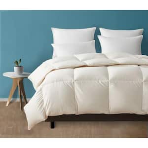 Light Warmth White 100% Organic Cotton Cover & Cotton Fill 300GSM Fill Weight and 300TC Twin Comforter