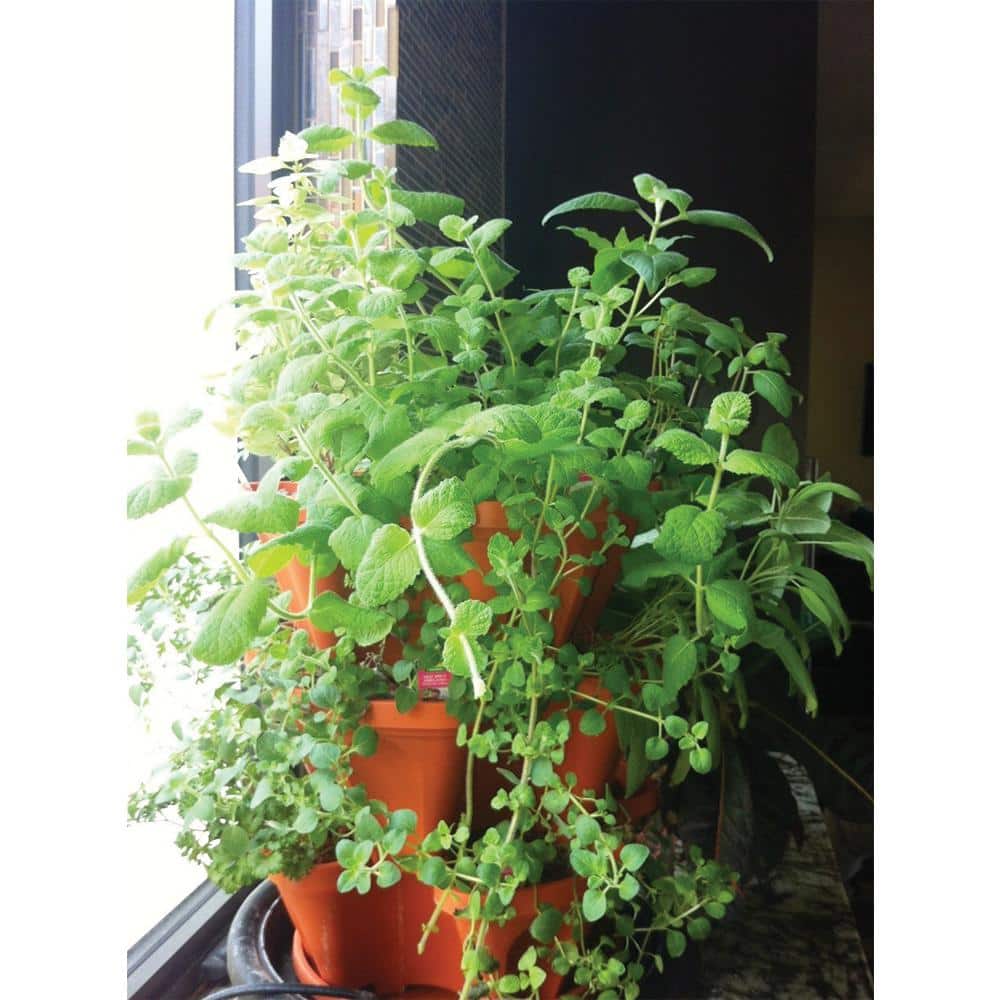Terracotta 3-Tier Stackable Self-Watering Vertical Planter