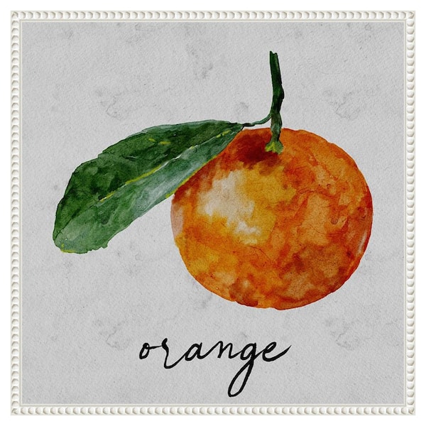 Amanti Art Summertime Citrus I by Regina Moore 22 in. W x 22 in. H Canvas Float Frame in White