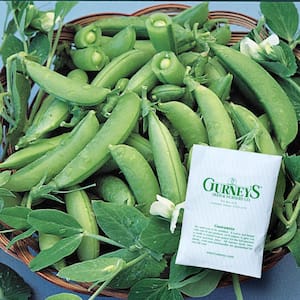 Snap Pea Sugar Snap Vegetable Seed (0.50 lb. Seed Packet)