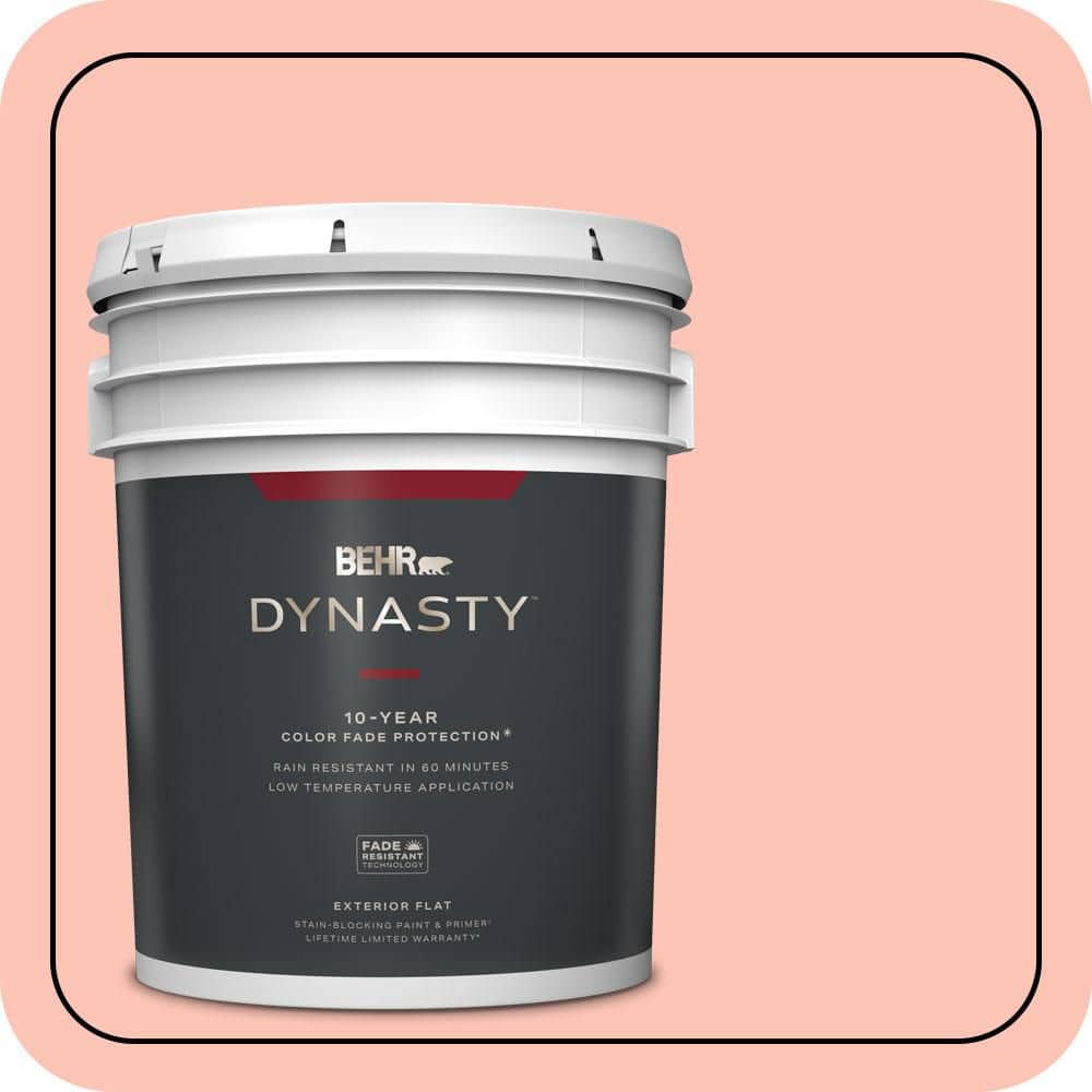 5 gal. #190A-3 Salmon Peach Flat Exterior Stain-Blocking Paint & Primer price history on PriceWatchPro