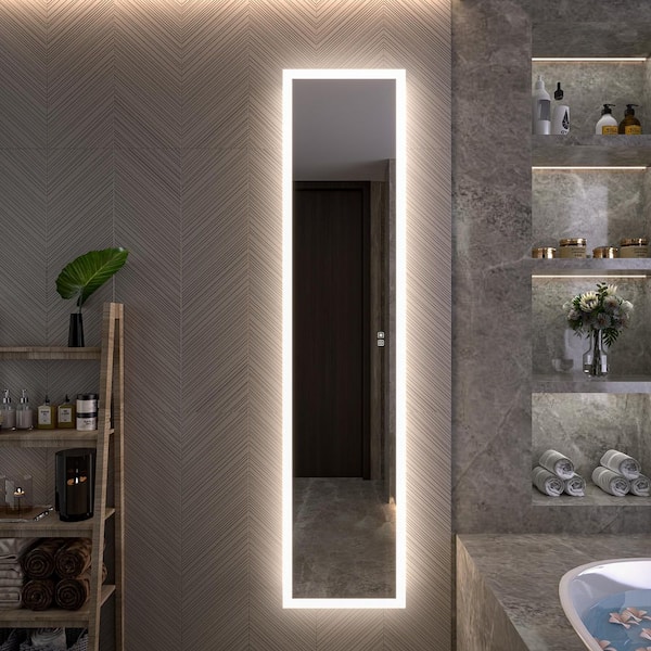 Moray 16 in. W x 70 in. H Rectangular Frameless Aluminum Full-Length Medicine Cabinet with Mirror