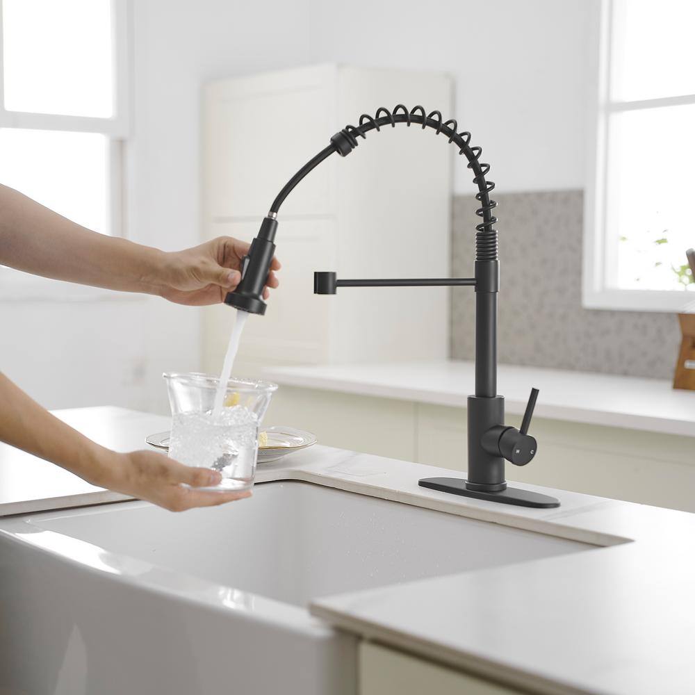 Matte Black Single-Handle Pull-Down Sprayer Kitchen Faucet