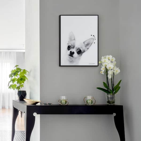 Empire Art Direct Pitbull Black and White Pet Paintings on Printed Glass  Encased with a Gunmetal Anodized Frame AAGB-JP1040-2418 - The Home Depot