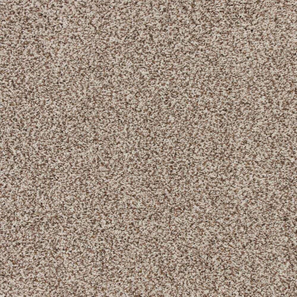 8 in. x 8 in. Texture Carpet Sample-Magalynn II-Color Deep River price history on PriceWatchPro