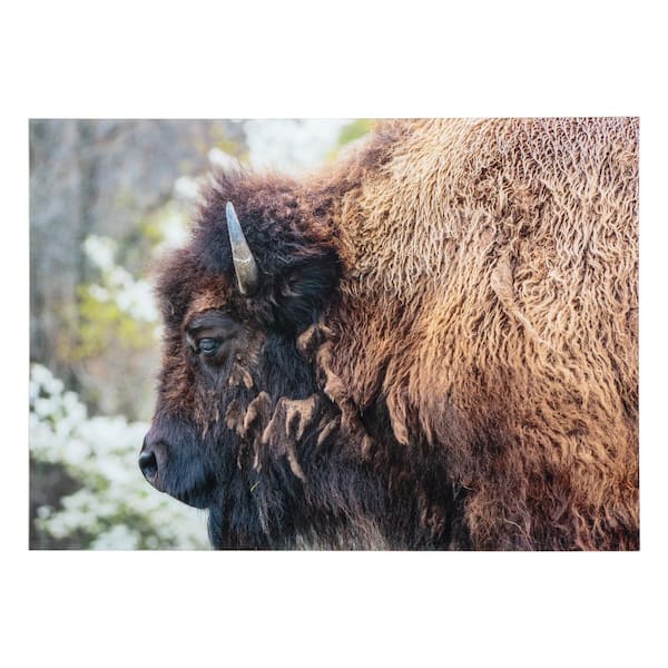 Yosemite Home Decor "Nomadic Grazer" Unframed Color Animal Photography Wall Art 32 in. x 47 in .