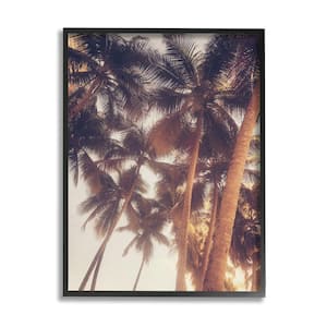 Sun Bleached Palm Tree Tops Vintage Summer Sky By Acosta Framed Print Nature Texturized Art 24 in. x 30 in.